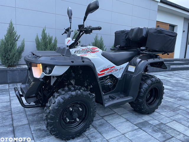 Linhai ATV