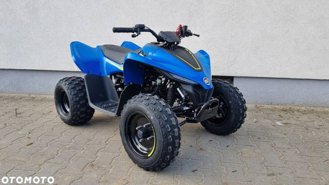 CFMoto Inny
