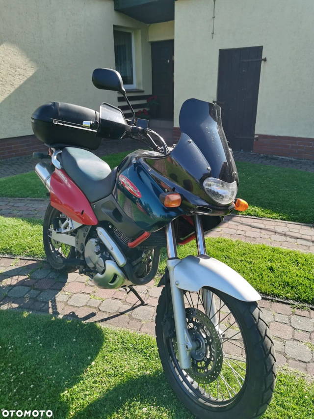 Suzuki XF