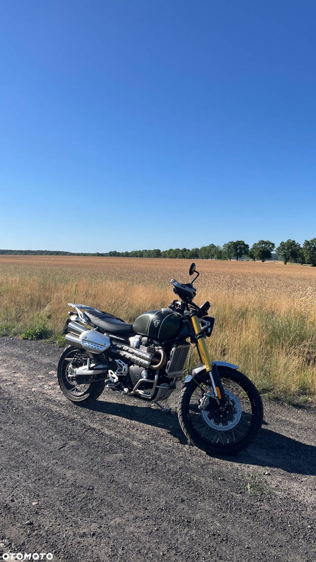 Triumph Scrambler