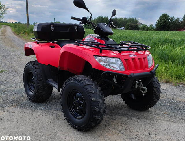 Arctic Cat Inny