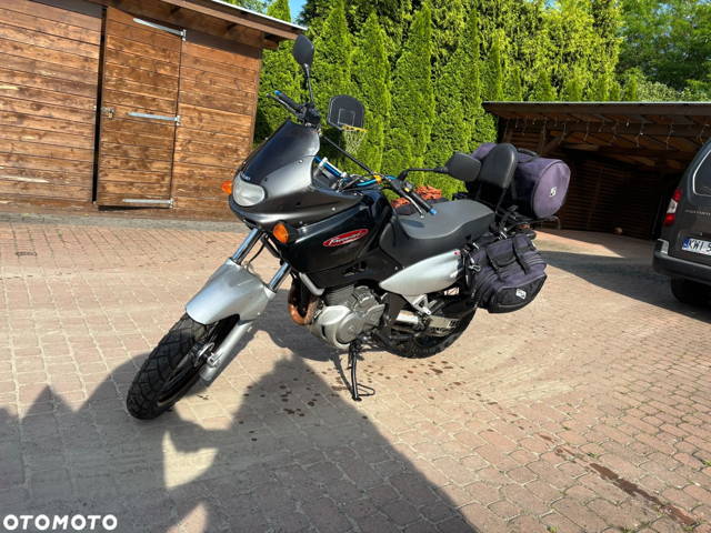 Suzuki XF