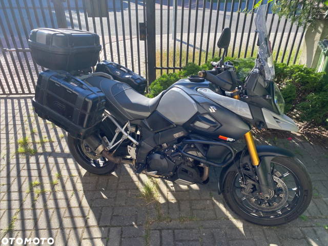 Suzuki DL