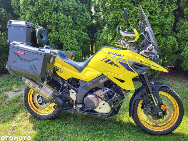 Suzuki DL