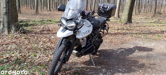 Triumph Tiger