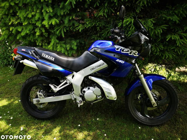 Yamaha TDR