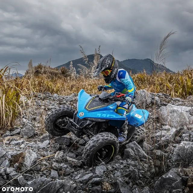 CFMoto CForce