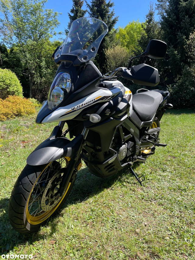 Suzuki DL