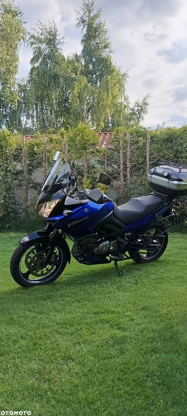 Suzuki DL