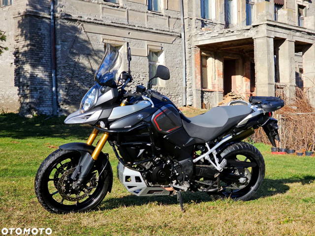Suzuki DL