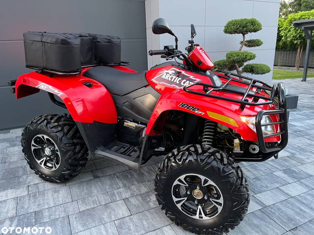 Arctic Cat Inny