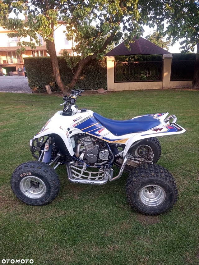 Suzuki Inny