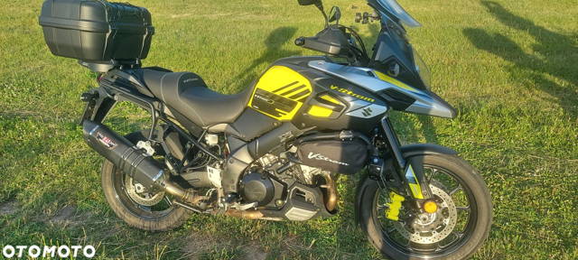 Suzuki DL