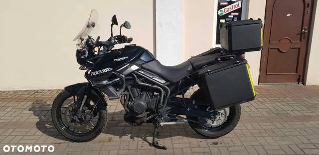 Triumph Tiger
