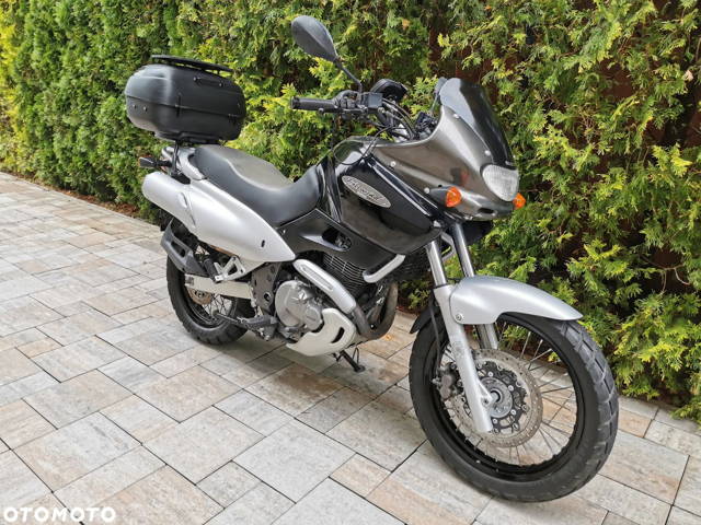 Suzuki XF
