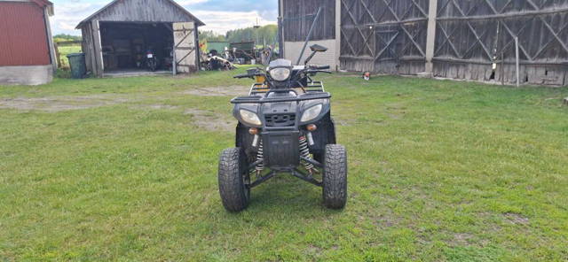 Eagle Lyda 203 250cc