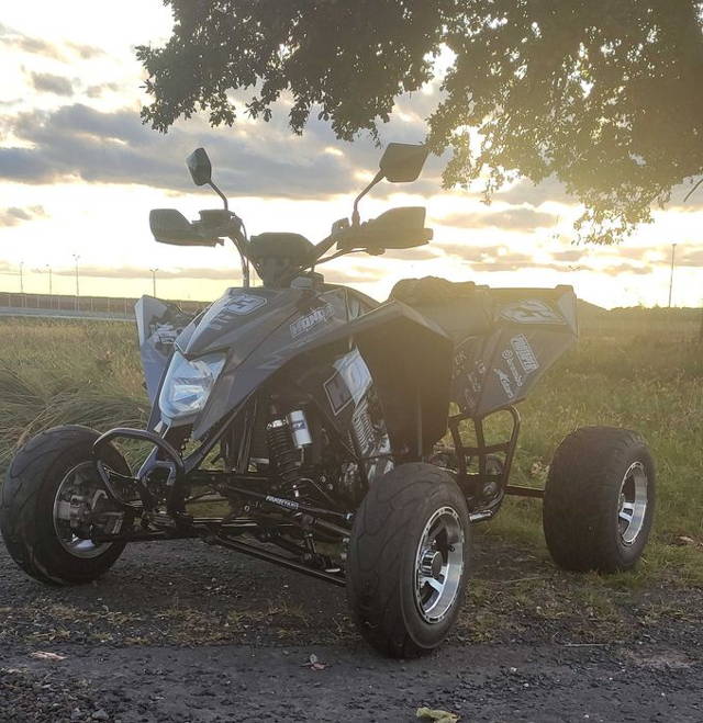 Quad EGL Madmax 250      Swap CB500