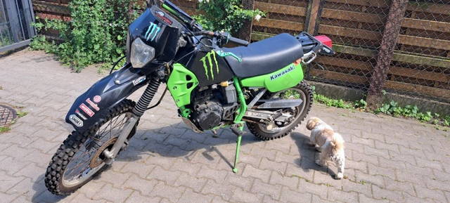 Kawasaki  klr 250