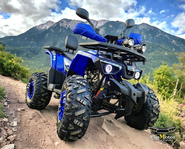 //quad //XTR //Raptor 125 //GERMANY //WYPRZEDAŻ //ProMotor
