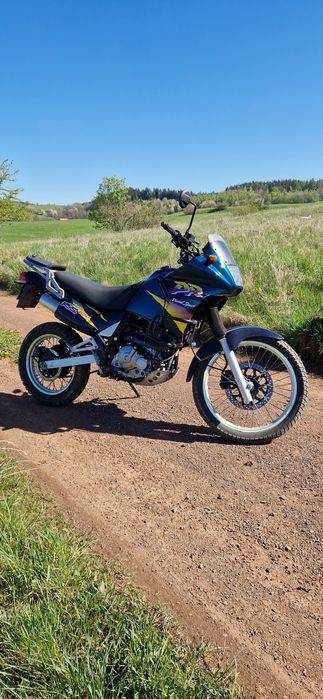 Suzuki DR 650 SE