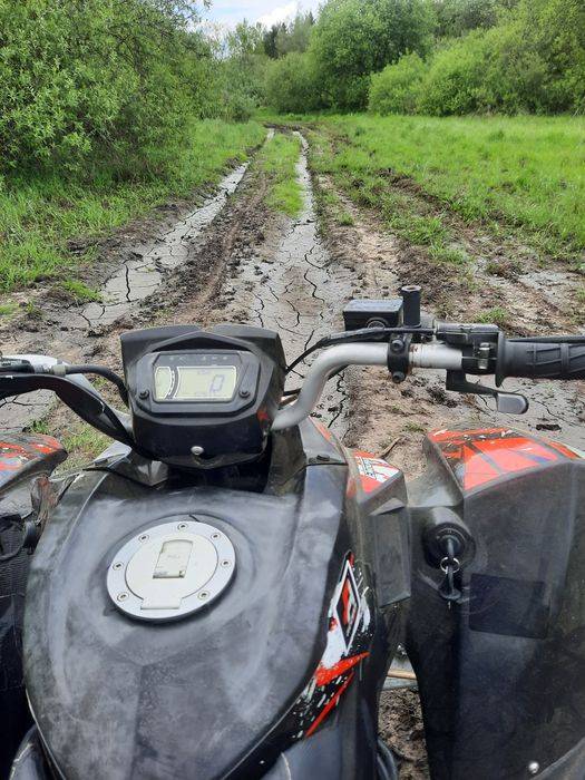 Quad Access lucky Star 50cm