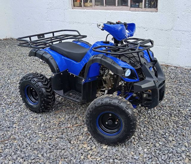 Quad Hammer 125 ZADBANY