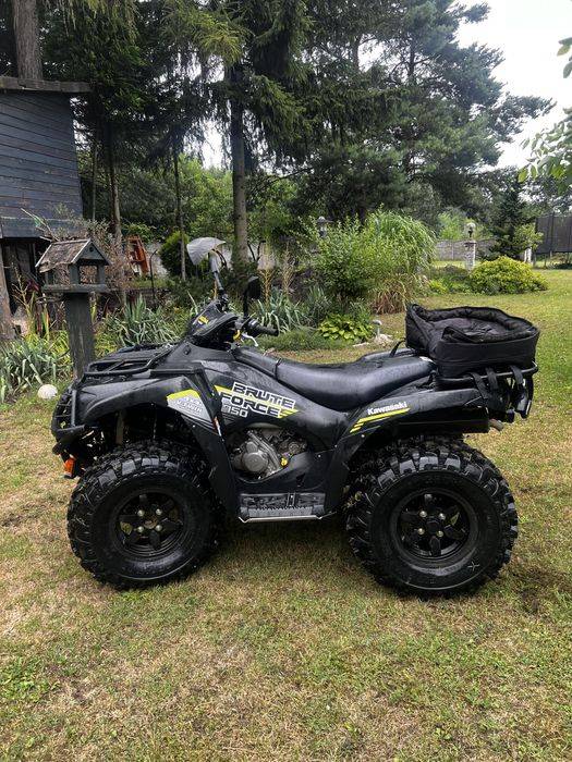 Kawasaki brute force