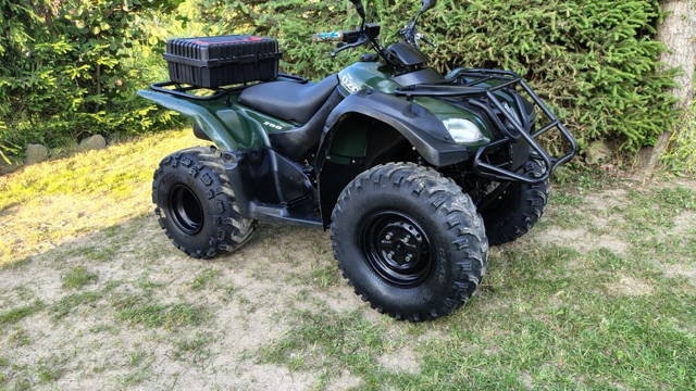 Quad Suzuki ozark 250# kingquad #grizzly# kum