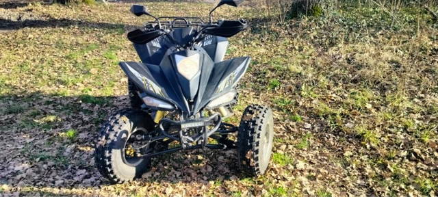 Quad 2018 Bashan 250