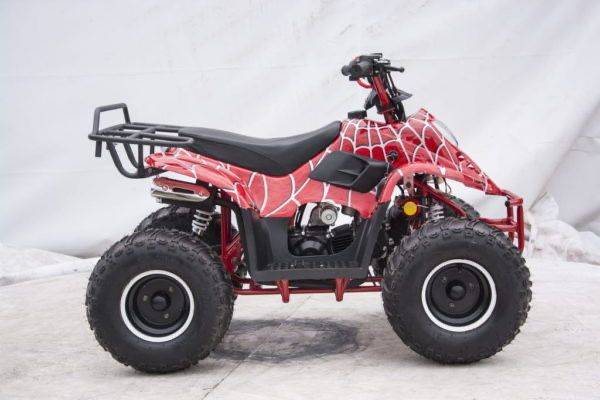 RATY , Transport  - quad 125cc big foot 001/7