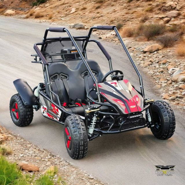 buggy SZTORM Z125 / dwuosobowy / JAKOŚĆ / dostawa / ProMotor