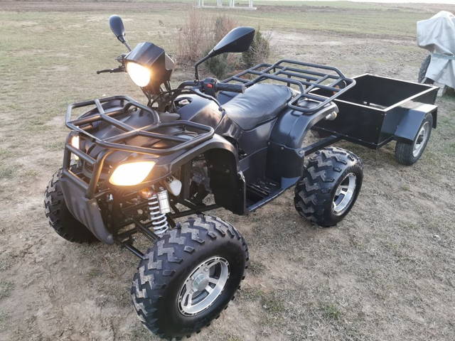 Quad Egl Eagle Lyda 200/250 Manual Zarejestrowany!! + Przyczepka