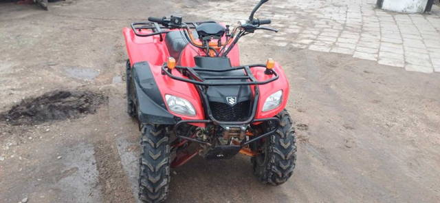 suzuki ozark 250