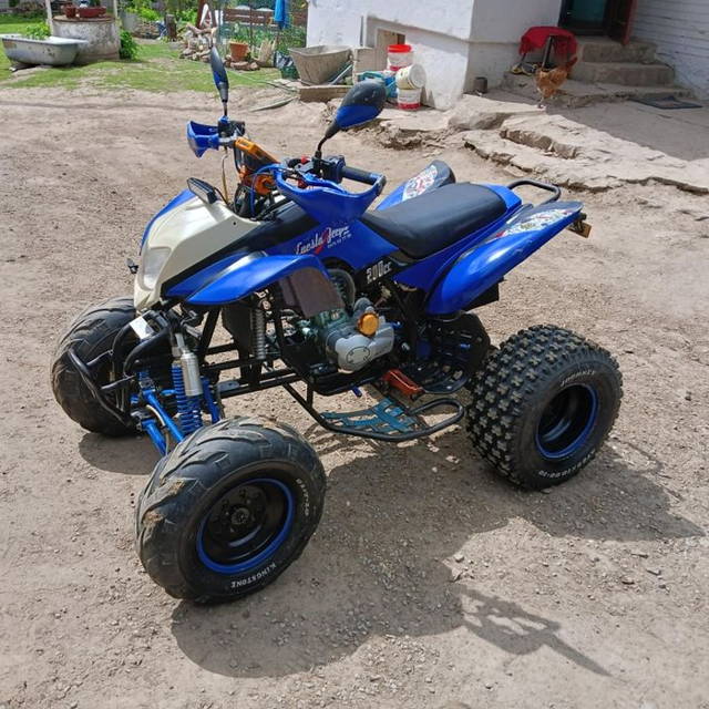 Quad Bashan bs200s7
