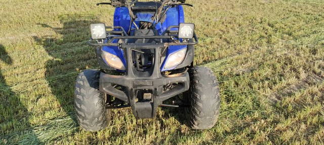 Quad ATV Bashan benyco shenke 200 250