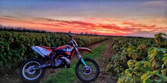 KTM xcw 250 (EXC,SX)