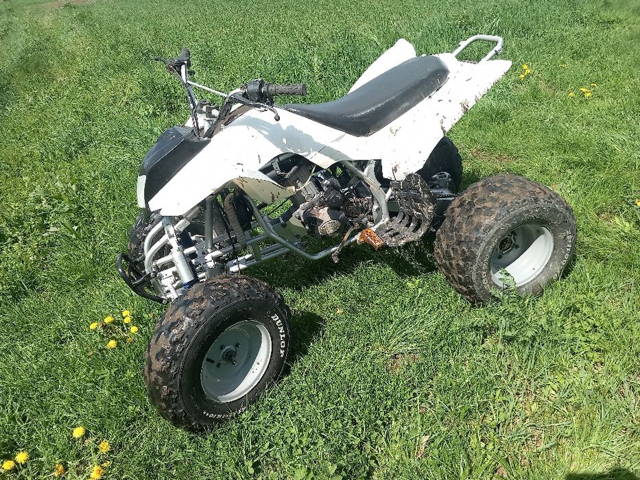 Baschan 250 ciecz