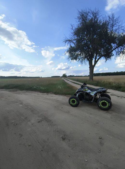 EGL MAD MAX 250ccm