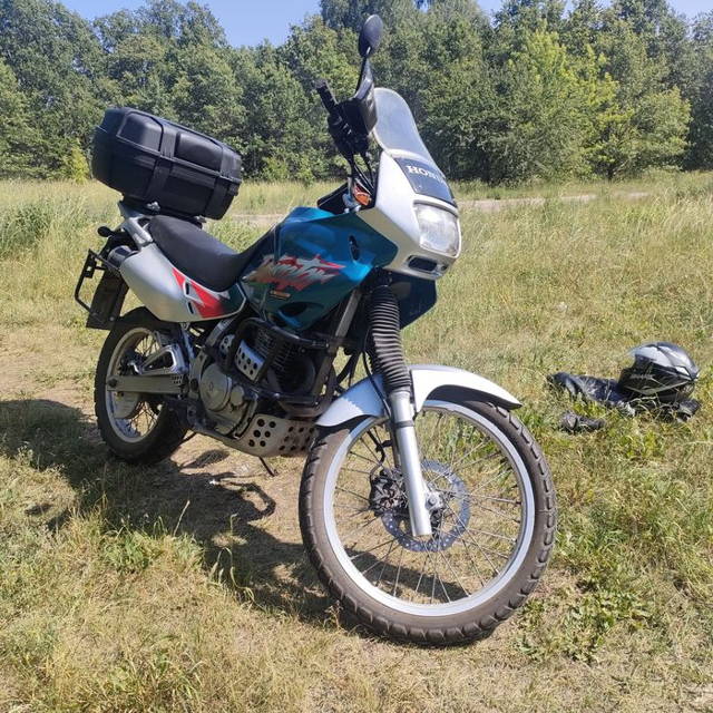 Honda Dominator zarejestrowana