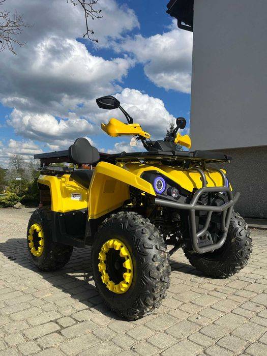 Diabolini Sharmax XXL