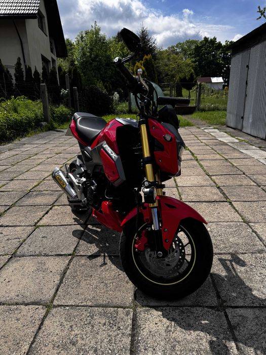 Honda MSX 125 Honda Grom 125