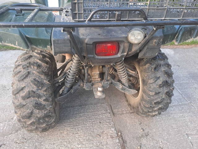 Quad grizzly 550
