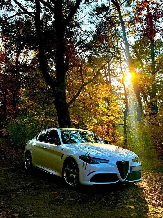 Quadrifoglio Giulia  xpipe maxton eurocompulsion nie rs5 m4 m3 rs7 amg