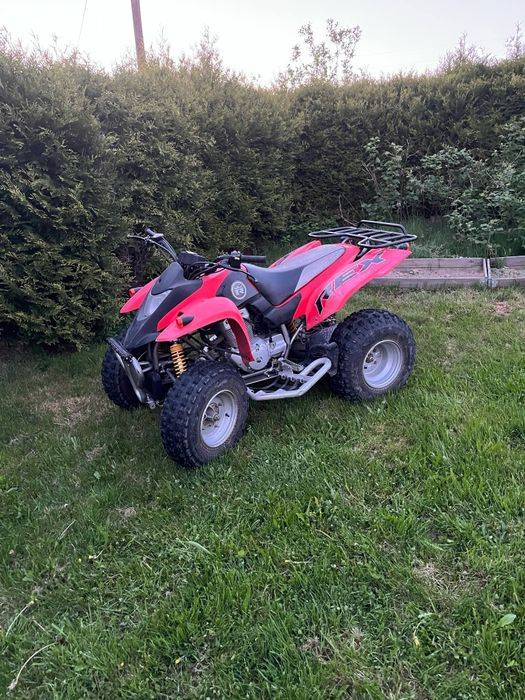 Quad REX ASPEN 250 Homologacje L7e