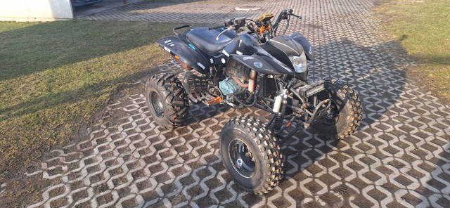 Bashan bs200 homlogacja