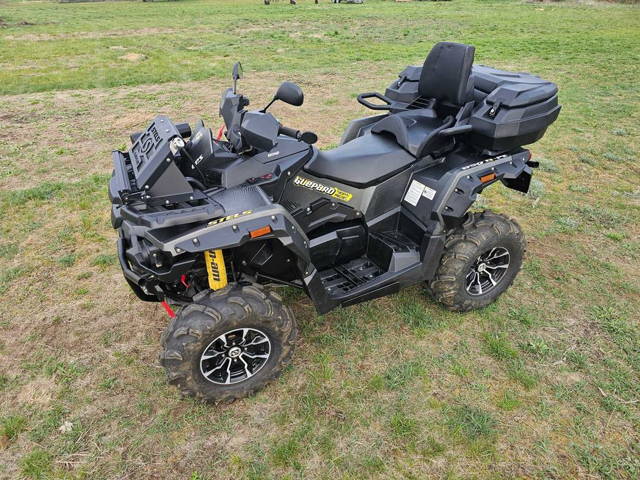 Quad Stels Guepard 850