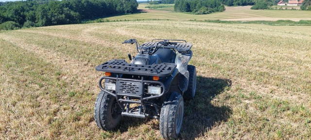 Quad motortech 175