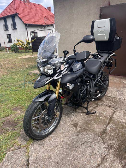 triumph toger 800