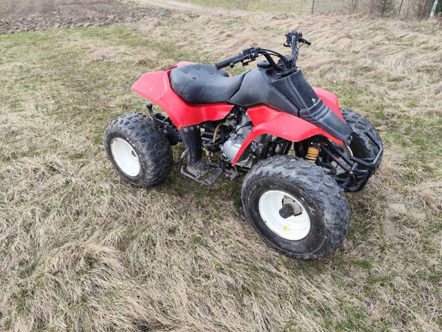 Quad 150 Bardzo Zrywny Skrzynia 5 Biegowa Polecam
