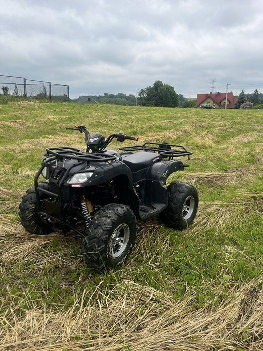 Bashan Bs200au-11 2019